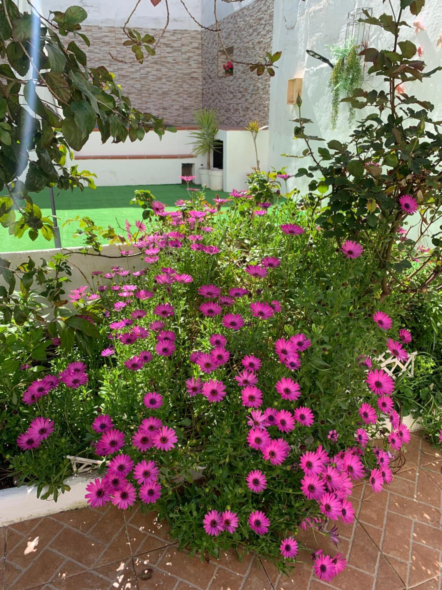 Casa Dos Tios Estremoz-Veiros别墅 外观 照片